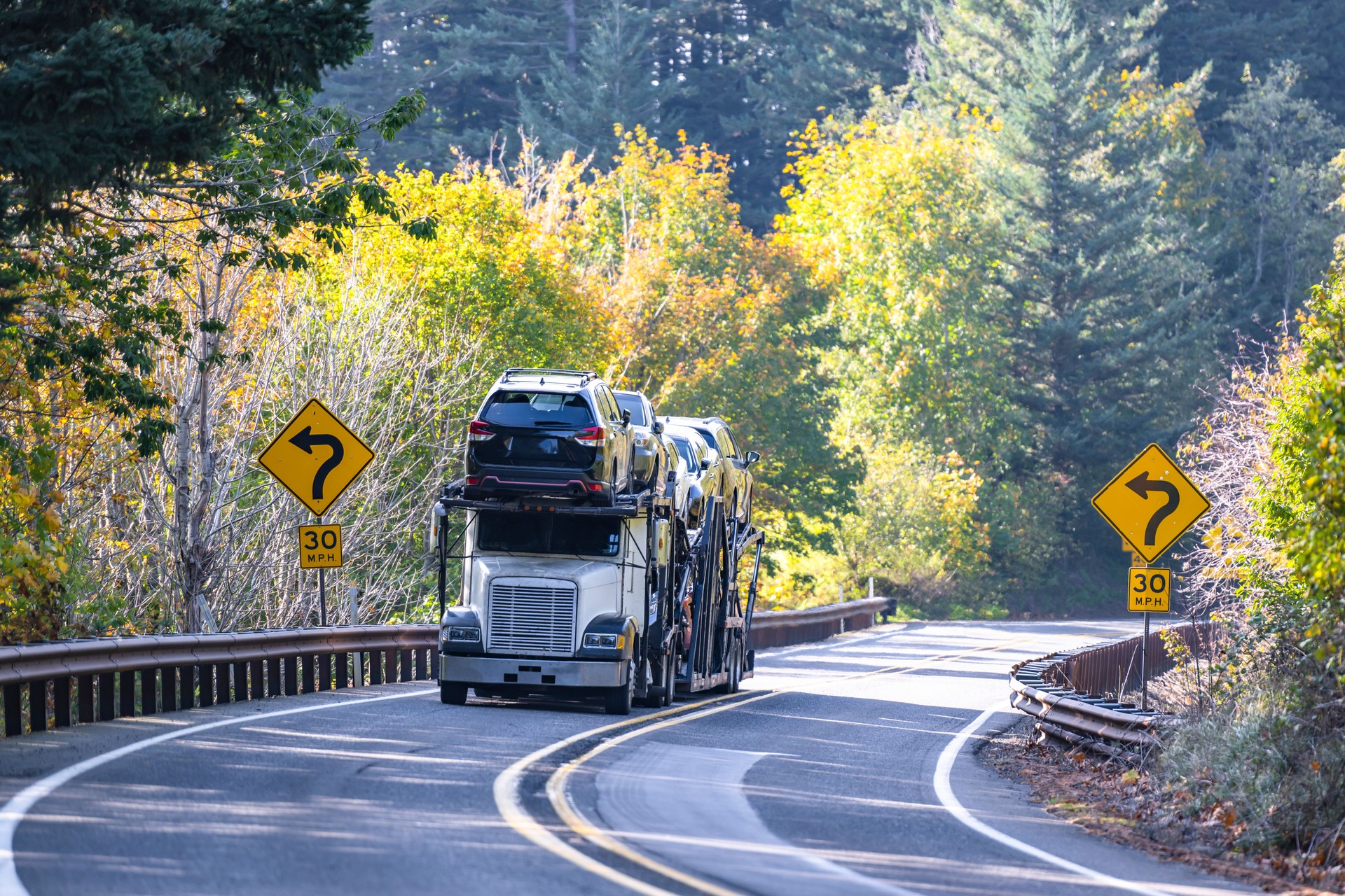 White classic car hauler big rig semi truck transporting cars on hydraulic semi trailer driving on the winding road going through the autumn forest